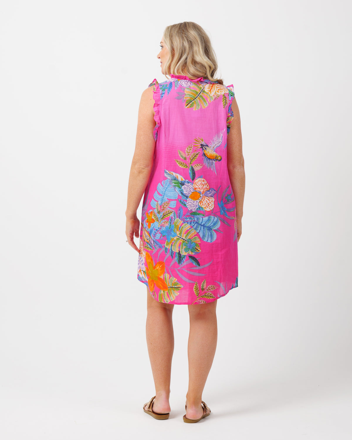 Chilli Style Dress in Pink Birds